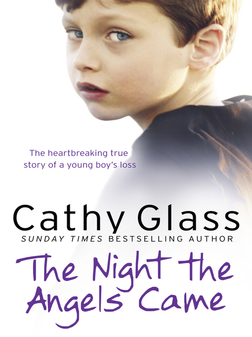 Title details for The Night the Angels Came by Cathy Glass - Available